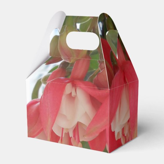 Bashkirtseff Bedankdoosjes (Achterkant)