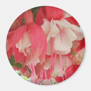 Bashkirtseff Magneet