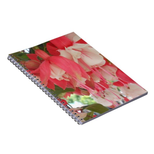 Bashkirtseff Notitieboek (Rechterzijde)