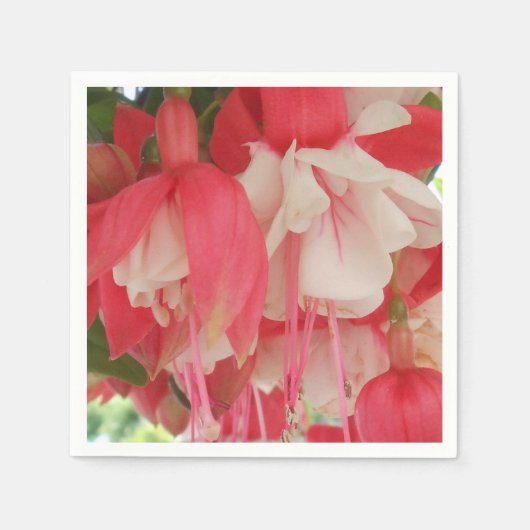 Bashkirtseff Servet (Voorkant)