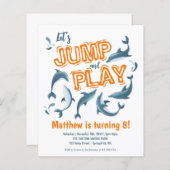 Basic Jump Play Dolphin Park Kinder feestdag Verja (Voorkant / Achterkant)