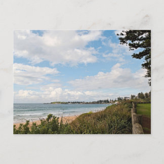 Basic semi gloss postcard briefkaart