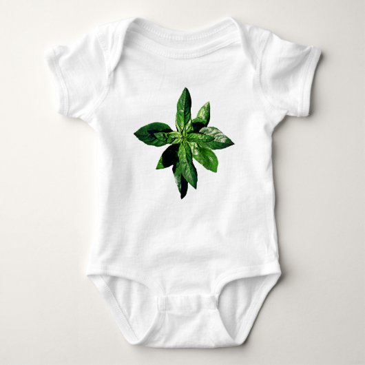 Basil Baby Bodysuit (Voorkant)