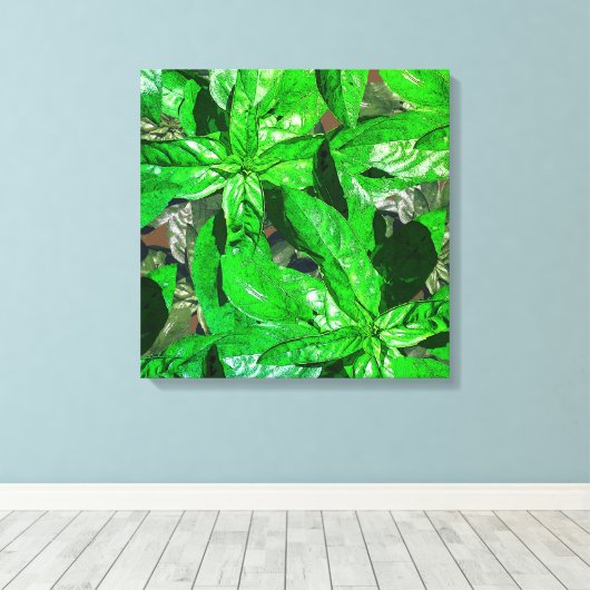 Basil Feuille Photo Art Enveloppé Toile (Insitu (Plancher de Bois))
