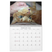 Basil Ginger Chat Calendrier personnalisé 2023 (Feb 2026)