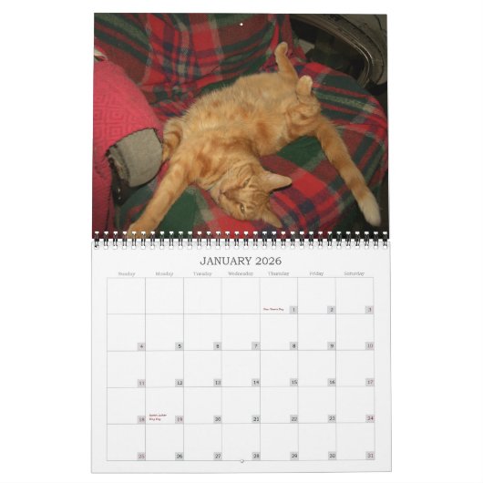 Basil Ginger Chat Calendrier personnalisé 2023 (Jan 2026)