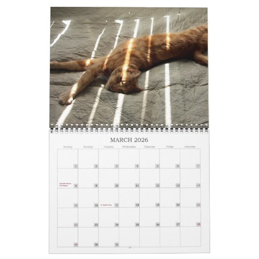 Basil Ginger Chat Calendrier personnalisé 2023 (Mar 2026)