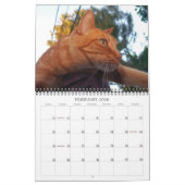Basil Ginger Chat Calendrier personnalisé 2024 (Feb 2026)