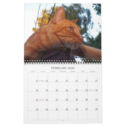 Basil Ginger Chat Calendrier personnalisé 2024 (Feb 2026)