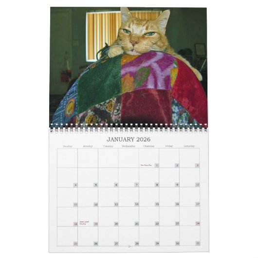 Basil Ginger Chat Calendrier personnalisé 2024 (Jan 2026)