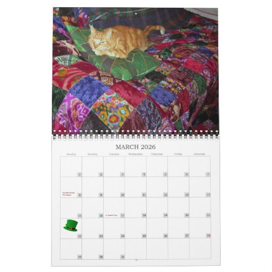 Basil Ginger Chat Calendrier personnalisé 2024 (Mar 2026)