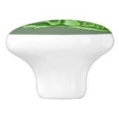 Basil Herb Dragon Keramische Knop (Zijkant)