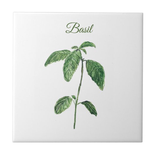 Basil Herb Greenery Kitchen Culinary Green Rustic Tegeltje (Voorkant)