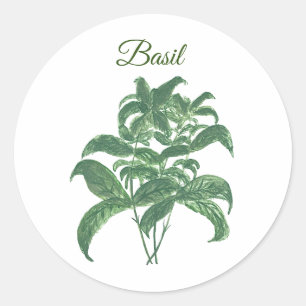 Basil Herbs Greenery Keuken Groen Plant Ronde Sticker