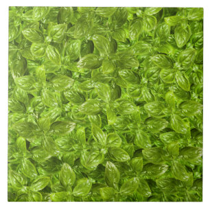 Basil Leaves Pattern Tegeltje