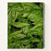 Basil Notitieboek (Achterkant)