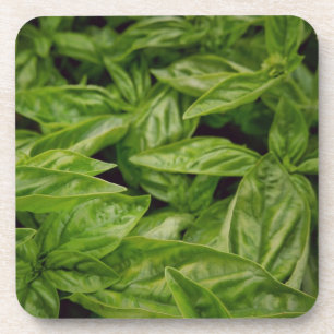 Basil Notitieboek Bier Onderzetter