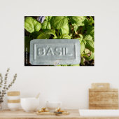Basil Poster (Keuken)