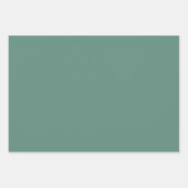 Basil & Sage Wrapping Paper Flat Sheet Set of 3 (Voorkant 3)