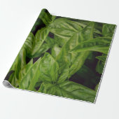 Basilicum Cadeaupapier (Uitgerold)