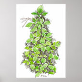 Basilicum Dragonfly-inkt-Waterverf Poster (Voorkant)
