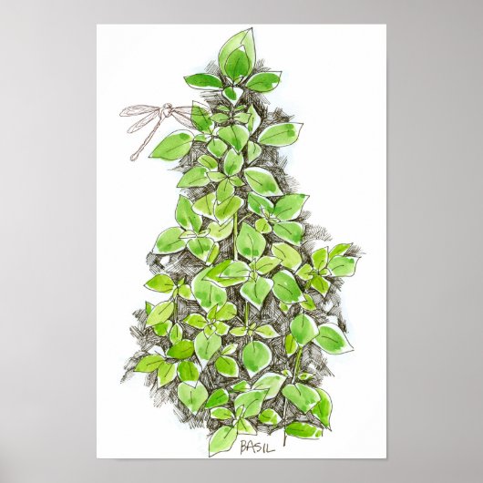 Basilicum Dragonfly-inkt-Waterverf Poster (Voorkant)