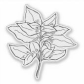 Basilicum-Sticker Sticker (Voorkant)