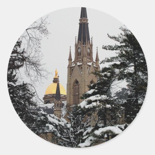 Basiliek in de sneeuw ronde sticker (Voorkant)