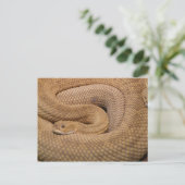 Basilisk Rattlesnake Briefkaart (Staand voorkant)