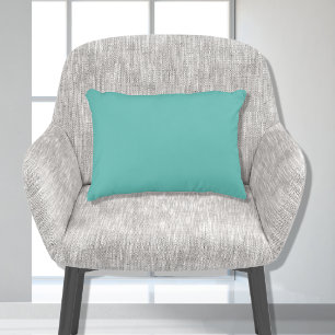 Basis Teal Aqua Blauw Effen Kleur 11x16 Accent Kussen
