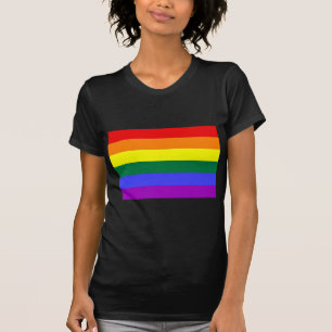 Basisregenboogvlag T-shirt
