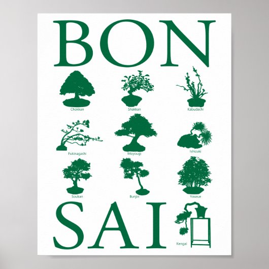Basisstijlen van Bonsai-boom Poster (Voorkant)