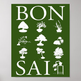 Basisstijlen van Bonsai-boom Poster