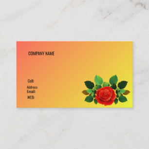 BASISVISITEKAARTJE SJABLOON VISITEKAARTJE