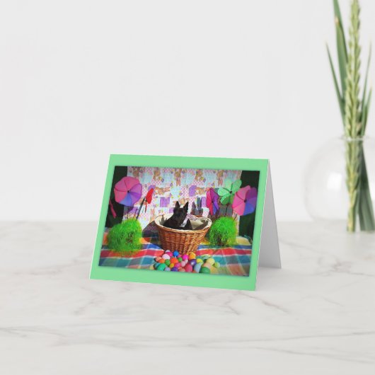 Basket-ball (Devant)