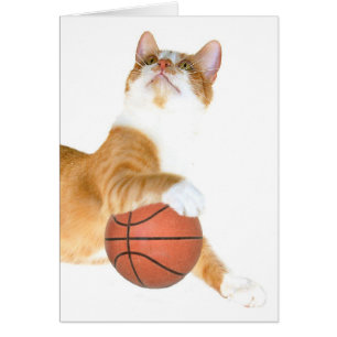 Basket de chat