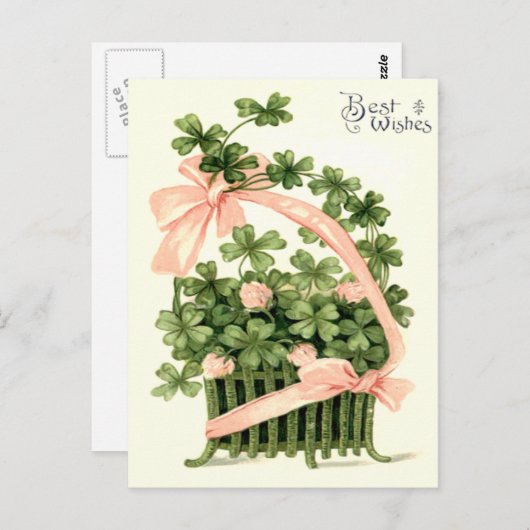 Basket roze lint Shamrock Four Leaf Clover Briefkaart (Voorkant / Achterkant)
