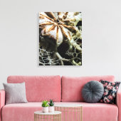 Basket Star (Gorgonocephalus eucnemis) Canvas Afdruk (Insitu (Woonkamer))