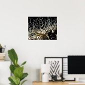 Basket Star (Gorgonocephalus eucnemis) - Poster (Bureau à domicile)