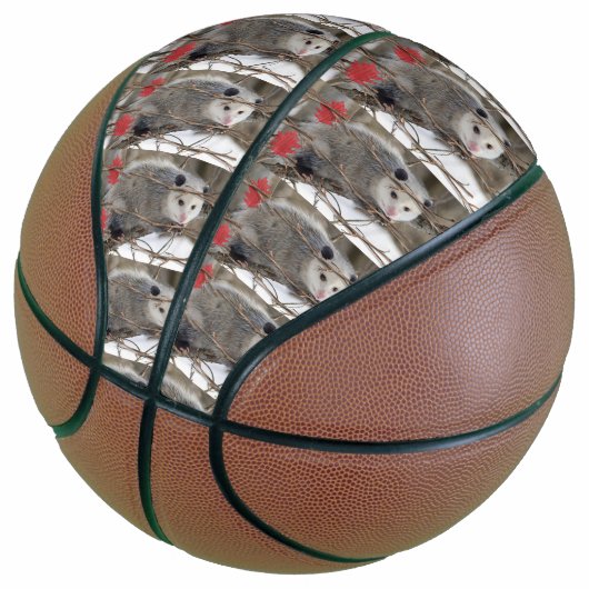 Basketbal Opossum Natuur (Schuin)