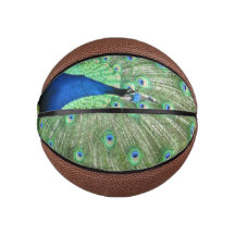 Basketball - Peacock met veren