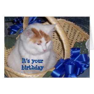 BASKETFUL DE **PURRRFECT** SOUHAITS D'ANNIVERSAIRE