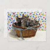 Basketful of Tabby Cats - Briefkaart (Voorkant / Achterkant)
