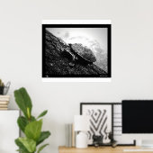 Basking Poster (Thuiskantoor)