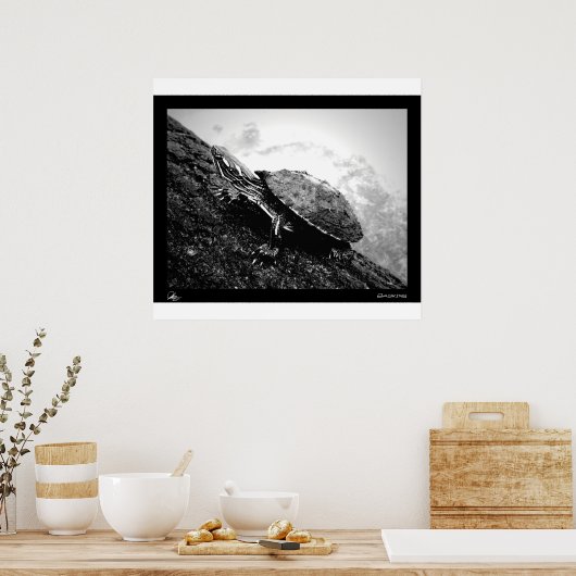 Basking Poster (Keuken)