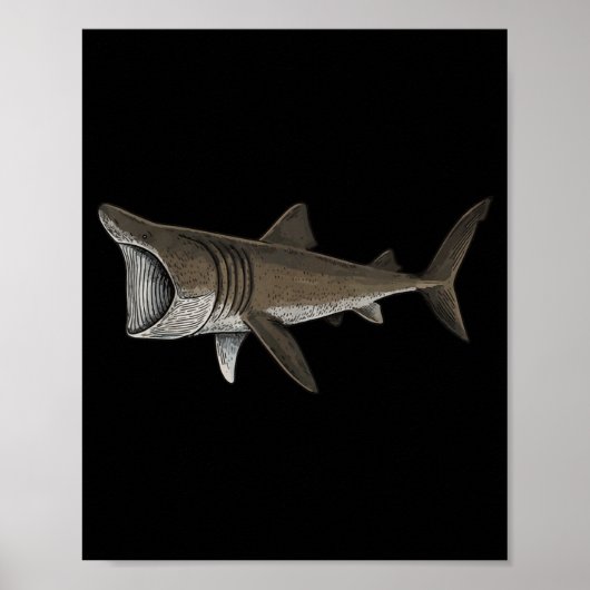 Basking Shark Poster (Voorkant)