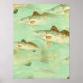 Bass Fish Pattern Poster (Voorkant)