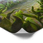 Bass Fish Poster (Hoek)