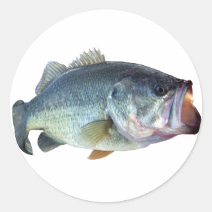 Bass Fish Ronde Sticker