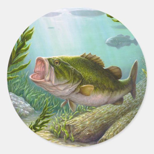 Bass Fish Ronde Sticker (Voorkant)